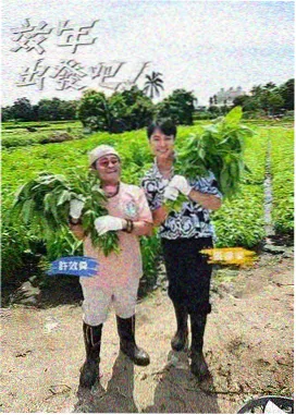 音乐综艺海报